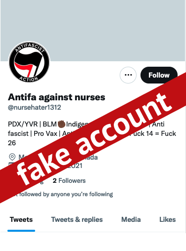 AntifaCheck161's tweet photo. After the recent appearance of several bad actors and fakes we wanted to reactivate a service to warn and inform others of accounts like these: https://t.co/ShMiucbS3x