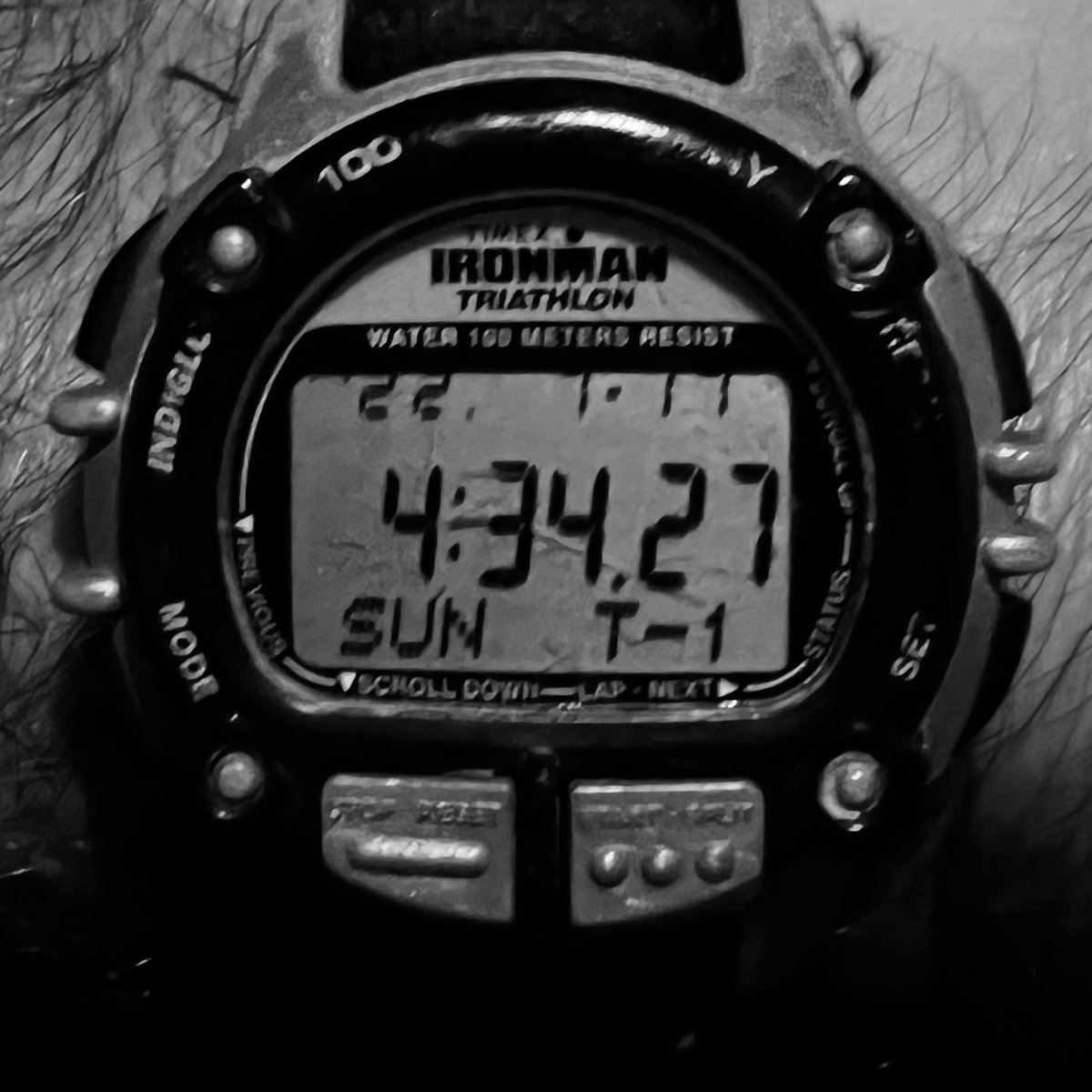jockowillink's tweet photo. WIN. https://t.co/mQS3t2sle8