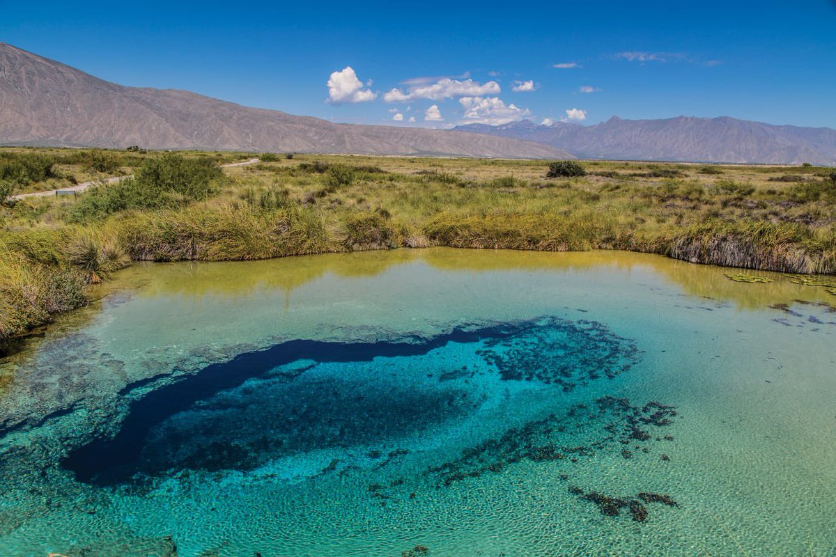 SECTUR_mx's tweet photo. 🤩 #FelizDomingo desde la #PozaAzul, en Cuatro Ciénegas, maravilla natural que alberga una espectacular riqueza de flora y fauna. Forma parte de una red de torrentes subterráneos que dan paso a un mundo secreto y fascinante, ¡te cautivarán sus tonos azules!
¡Visita #Coahuila! 😍 https://t.co/beSrITFp54