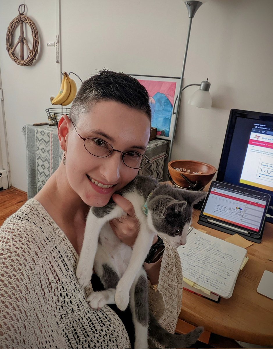 NerdyGirlAV's tweet photo. My roomies kitten has been set free to the household... So keeping an eye on old cats and new while #CTS prep is in full action! #catsofav https://t.co/hCdqorbqJA