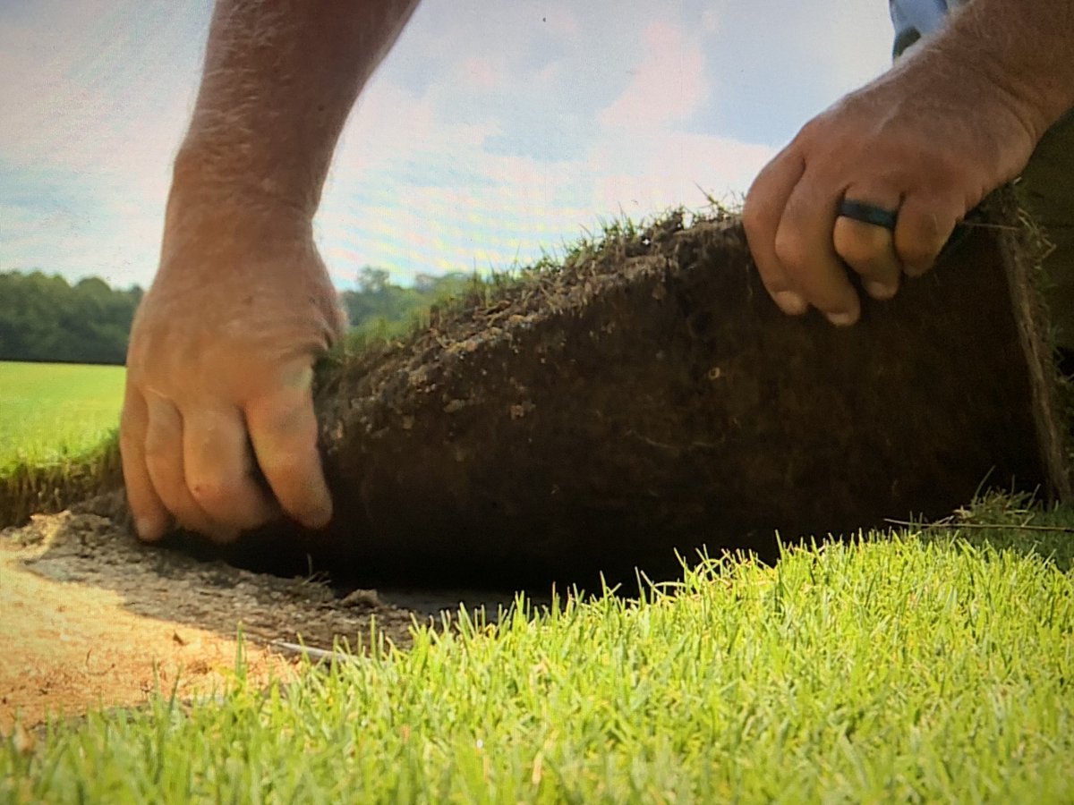 NickCarboniWCNC's tweet photo. Now that the Garth Brooks concerts are done at Bank of America Stadium, the process of installing a natural grass field for one night only begins. The field for #CharlotteFC vs #ChelseaFC was grown locally. It will take 31 tractor trailer truckloads to bring it all to BofA. @wcnc https://t.co/JpBZxdD9mr