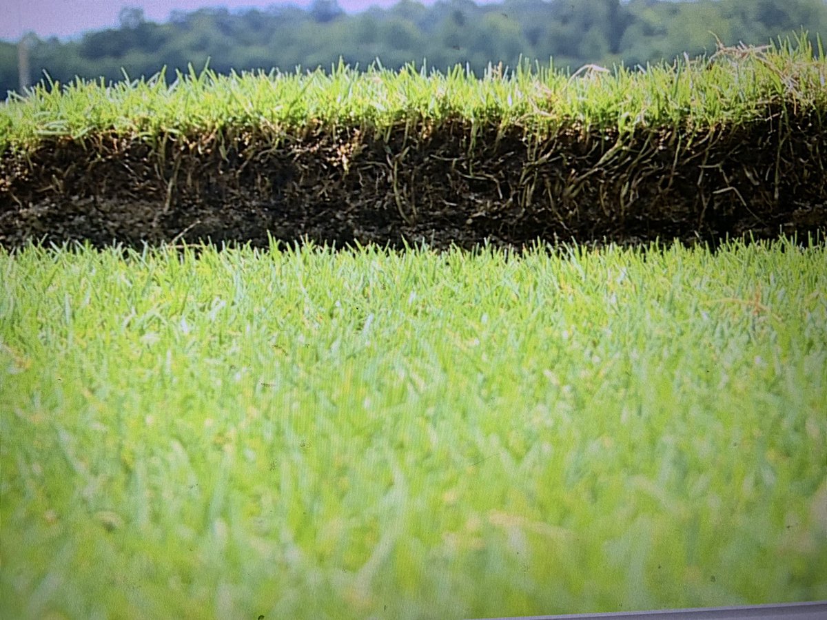 NickCarboniWCNC's tweet photo. Now that the Garth Brooks concerts are done at Bank of America Stadium, the process of installing a natural grass field for one night only begins. The field for #CharlotteFC vs #ChelseaFC was grown locally. It will take 31 tractor trailer truckloads to bring it all to BofA. @wcnc https://t.co/JpBZxdD9mr