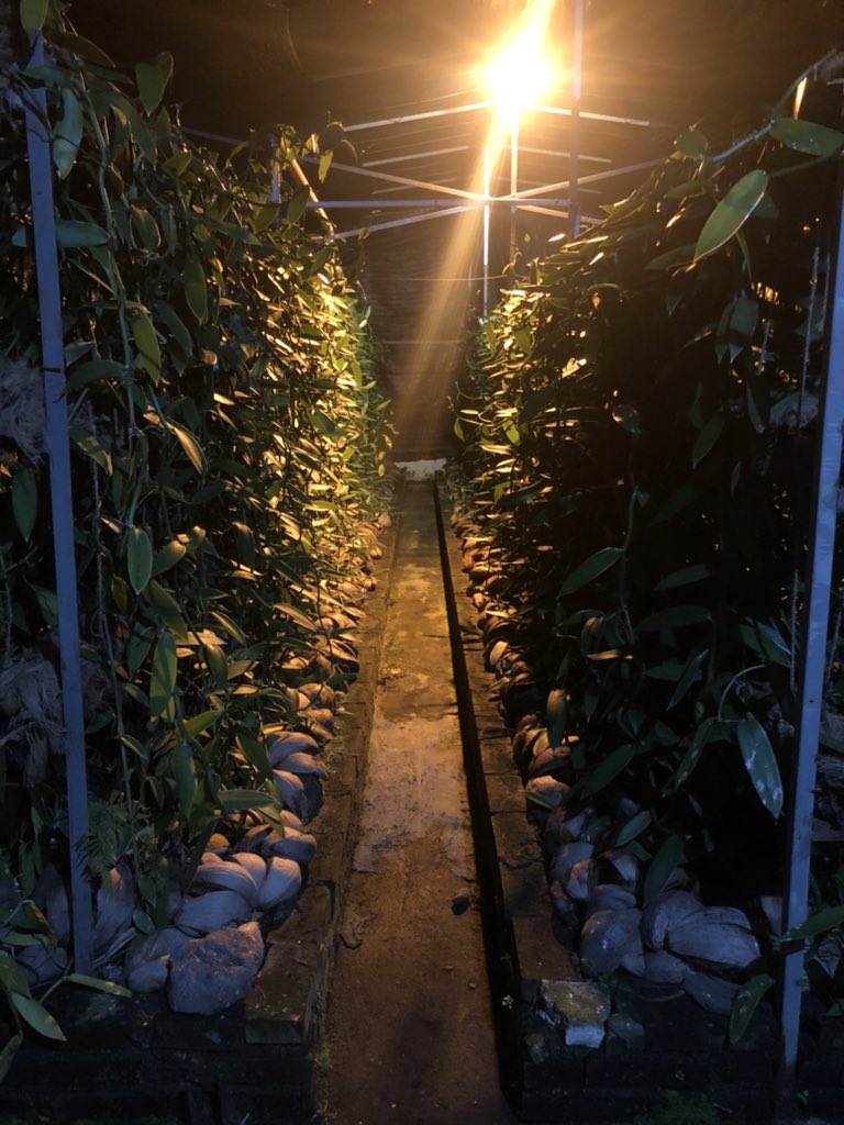 argoicloud's tweet photo. Take me down to the paradise city where the grass is green and the girls are pretty https://t.co/CSBH8OwowZ