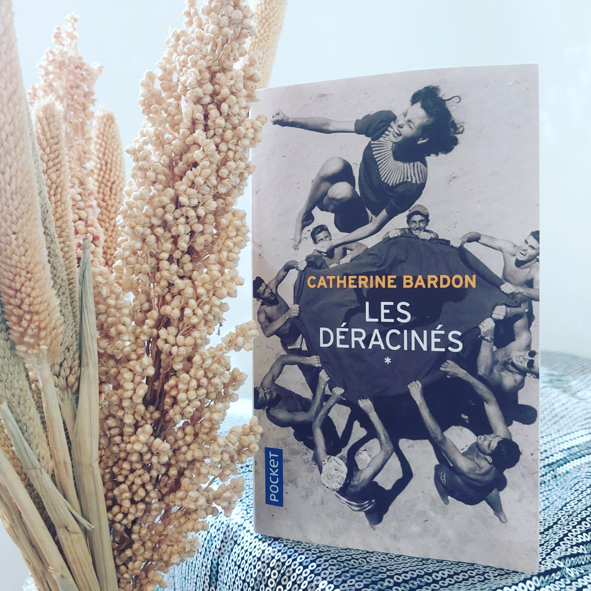 ULDMB's tweet photo. Bouleversifiée! ❤️❤️❤️
https://t.co/MR2y2HDu1J
#catherinebardon @Pocket_Editions 
#sosua
#baignoiredor 🛀💛
#unlivredansmabaignoire https://t.co/8RW07XQfM7