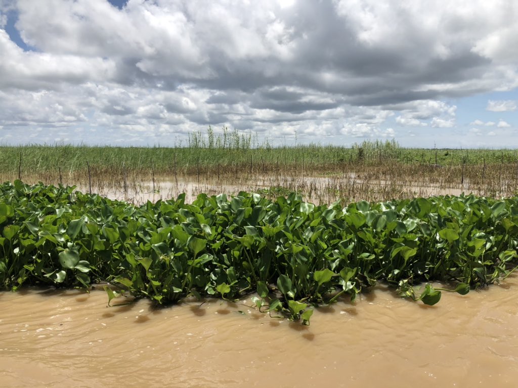 Brian Eyler tweet media