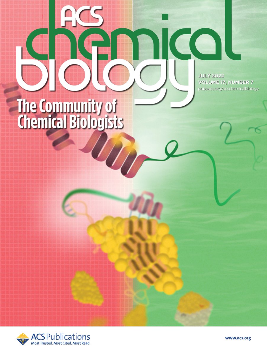 FriedlerLab's tweet photo. #MyACSCover🎨 !! The Supplementary Cover Art of 
@GuyMayer1
 paper: "Targeting Protein Interaction Hotspots Using Structured and Disordered Chimeric Peptide Inhibitors" is now published in ACS Chemical Biology. 
 https://t.co/OpzkYatKFH 
@ACS4Authors https://t.co/ujE3IaZBoU