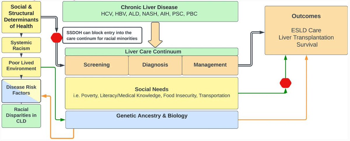 ebtapper's tweet photo. Understanding disparities in chronic liver disease 

 And the interventions needed to improve them

@LaurenNephewMD 
Open access: https://t.co/b8v9Vo2nSY #livertwitter https://t.co/svPSWtqgKM
