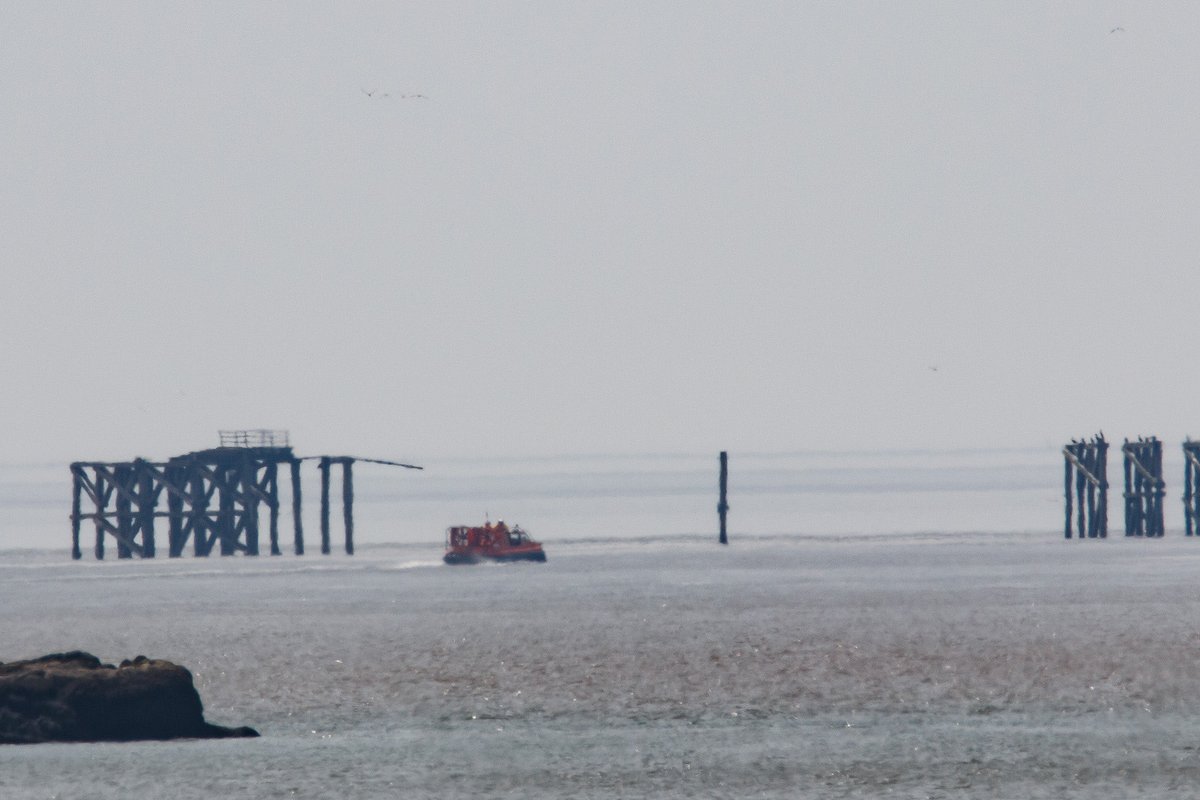 David Billinge tweet media