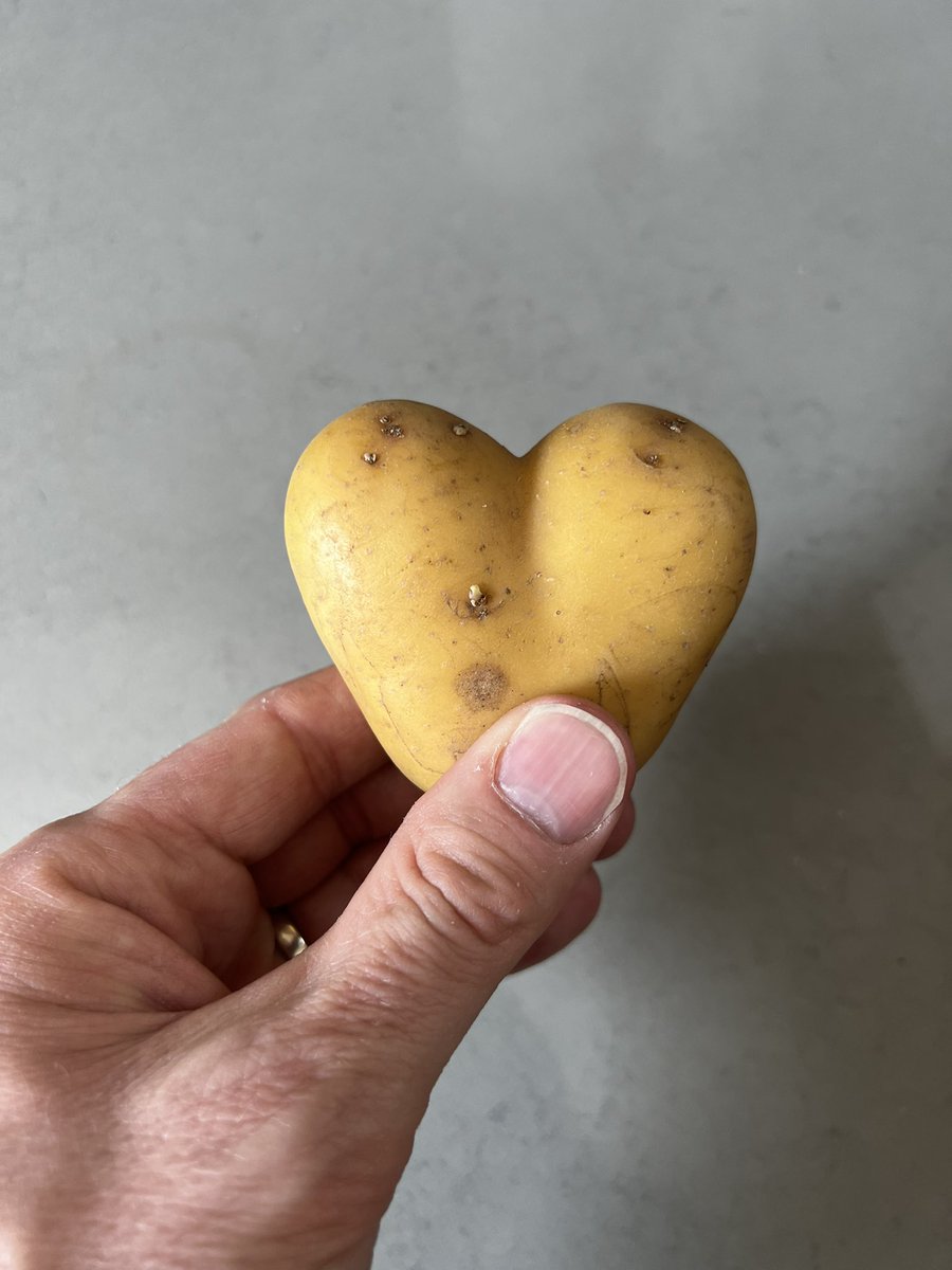fivearchitects's tweet image. At the risk of coming over all #thatslife it’s comedy vegetable time #potato #heart #iphone #vegitablesthatlooklikethings