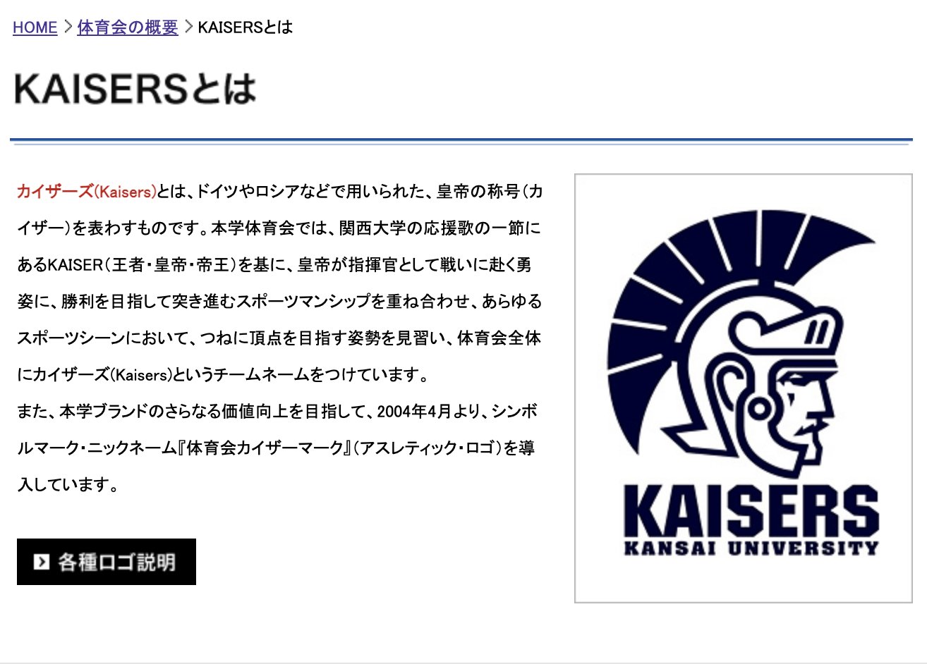 ★大人気商品★ 関西大学 カイザース KAISERS ヘルメット ヘルメット
