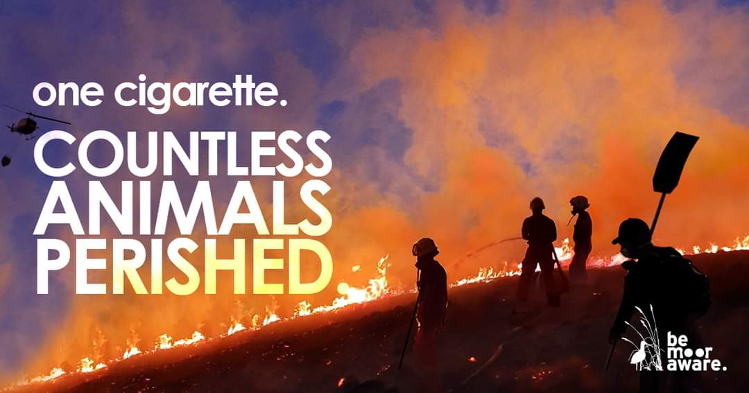 A carelessly discarded cigarette can kill hundreds of animals & destroy thousands of rare & vital plants! 

Moorland fires not only impact on our resources, but they also affect the  flora & fauna.

Let's keep our moorlands safe from fire so everyone can enjoy them. #BeMoorAware