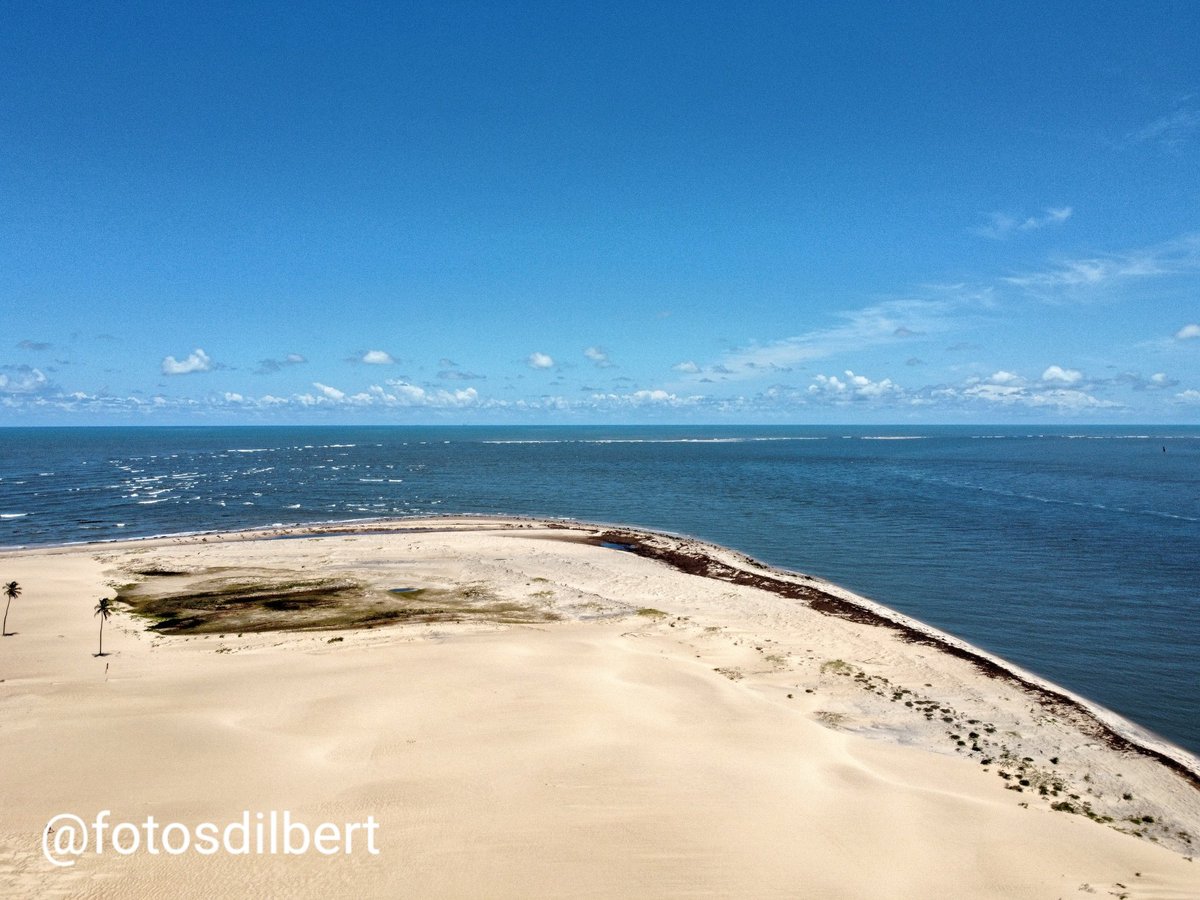 Dilbertrj's tweet image. #fotosdodilbert
#trip
#viagem
#fotos

#nordeste #praias #viagens #brasil #brazil

#sergipe #sergipeviagens #aracajusergipe #sergipebrasil #aracajú #aracaju_se #aracajuse

#vacations #beach #nordestebrasileiro #nordestelindo #brazil #braziliantrip

#verão #praiasdonordeste