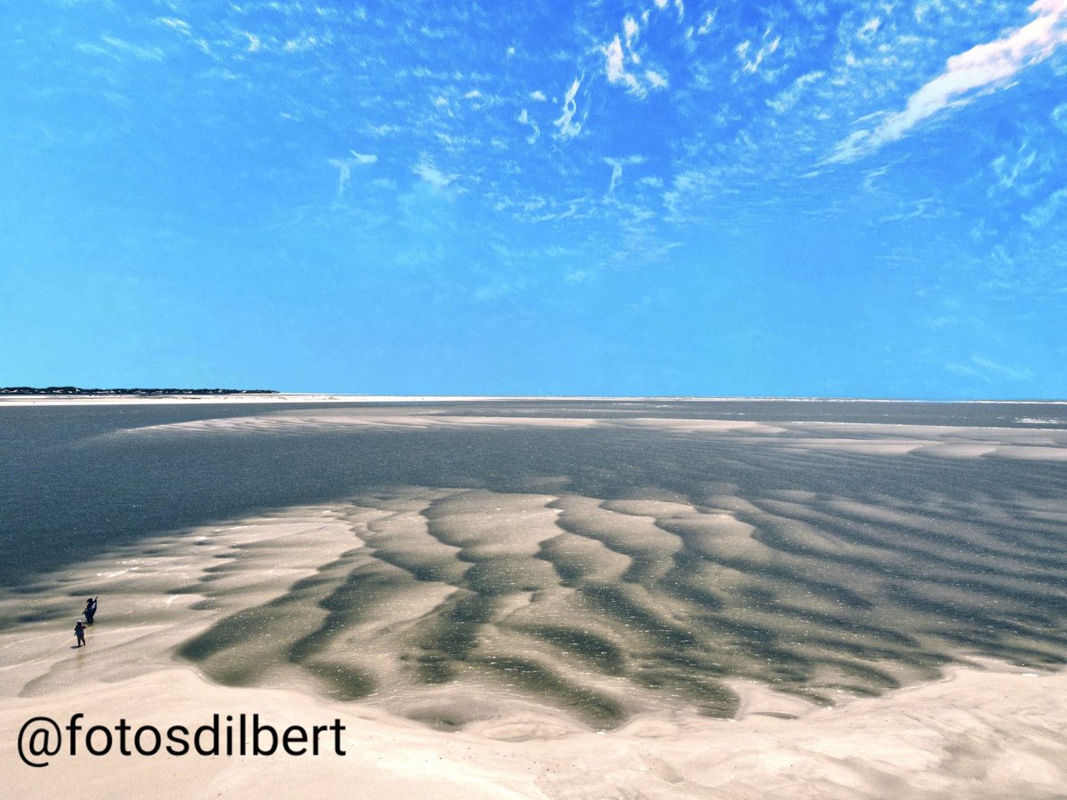 Dilbertrj's tweet image. #fotosdodilbert
#trip
#viagem
#fotos

#nordeste #praias #viagens #brasil #brazil

#sergipe #sergipeviagens #aracajusergipe #sergipebrasil #aracajú #aracaju_se #aracajuse

#vacations #beach #nordestebrasileiro #nordestelindo #brazil #braziliantrip

#verão #praiasdonordeste
