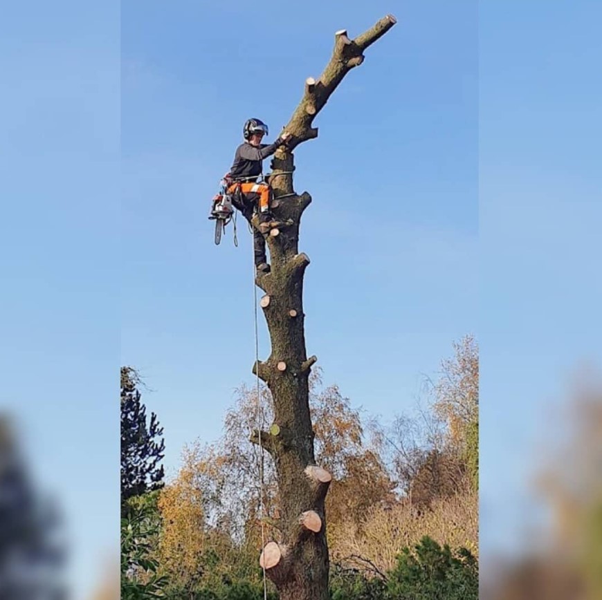 Follow her/his instagram for more post
#logger #logging #treecutting #arboristVia @viktoriacarstens