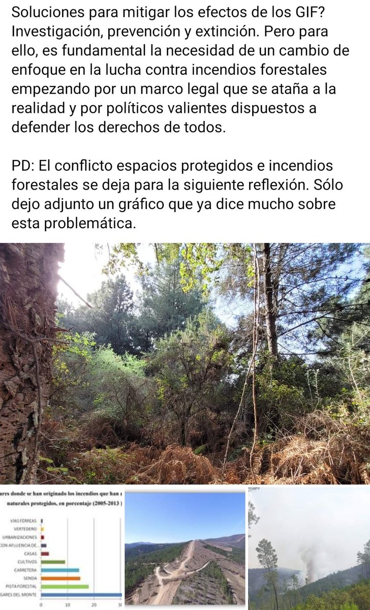 QuercusBroteri's tweet photo. Es tiempo de políticas, no de políticos (Parte II) #IncendiosExtremadura #IFLadrillar #IFMonfrague #IFValledelJerte #IncendiosForestales https://t.co/GaalcvMXE7