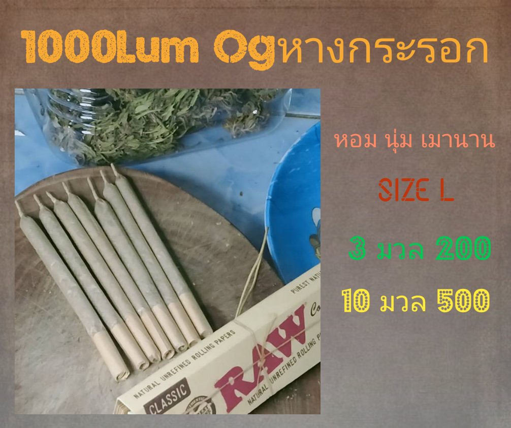 Getkit1's tweet image. OG​ สายพันธุ์นอก👍
ราคาบ้านๆ​
Charlotte'Ag
Blue Chese
KCP.​
OG​ Kush
Scoge Ethos
Pink Haze
Lemon Cookies
Bubblegum
==============
ชมสินค้าอื่นได้ที่​ shop.line.me/@597mponl
ติดต่อ​ Line : @597mponl
#กัญชา #ขายกัญชา #กัญชาเชียงใหม่ #กัญชาออแกนิค #กัญชากรุงเทพ #กัญชาโอจี​ #กัญชาog