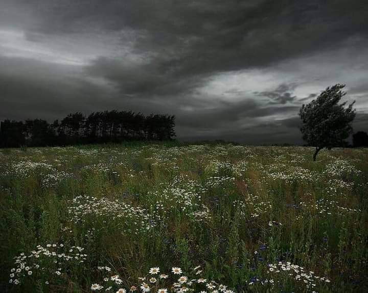 Agatha (@ceizze) on Twitter photo 