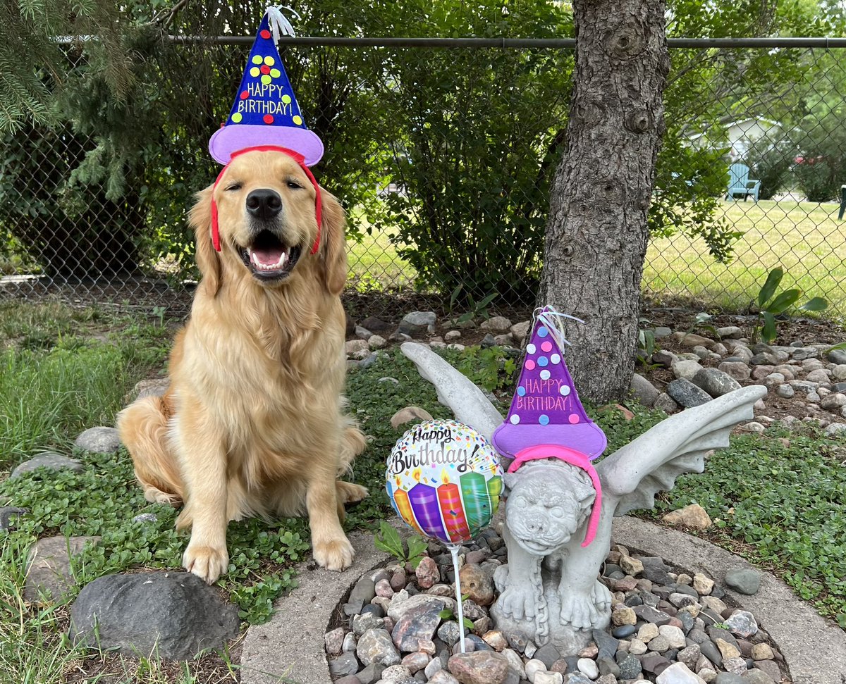 Darbi Jo The Golden tweet media