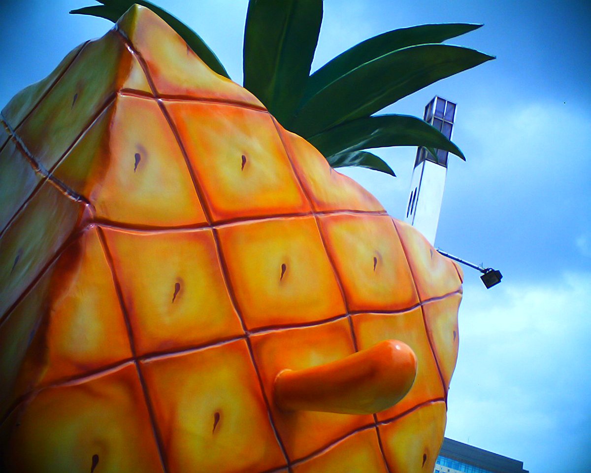 nuo2x2's tweet photo. Happy BDay, you pineapple head... #SpongeBob #SpongeBobSquarepants bday, 17th July #digitalphotography #streetphotography #keychaincamera #toycam #toycamera #vistaquest #lofi #nuo2x2 #nuo2x2toycam https://t.co/dlBzg8OFSX