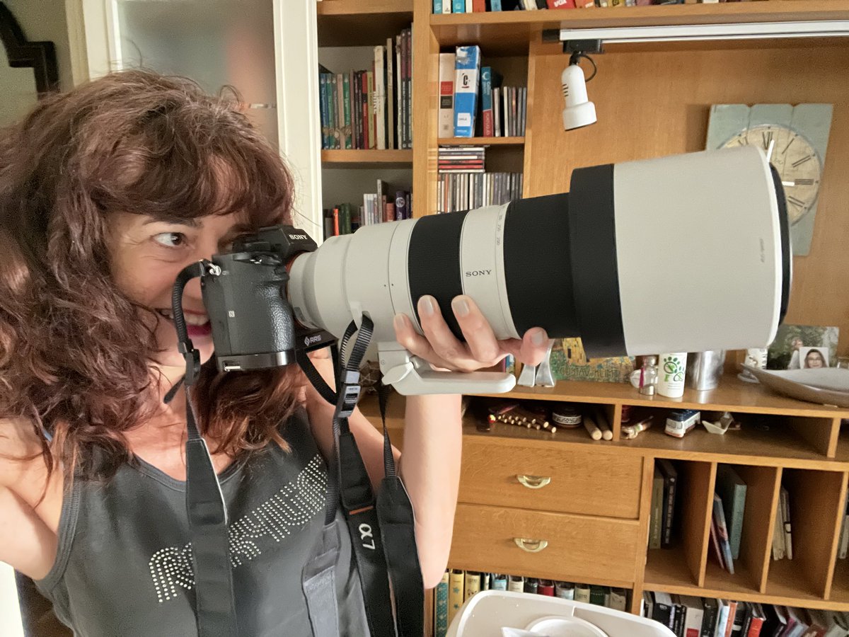 Judith Anton tweet media