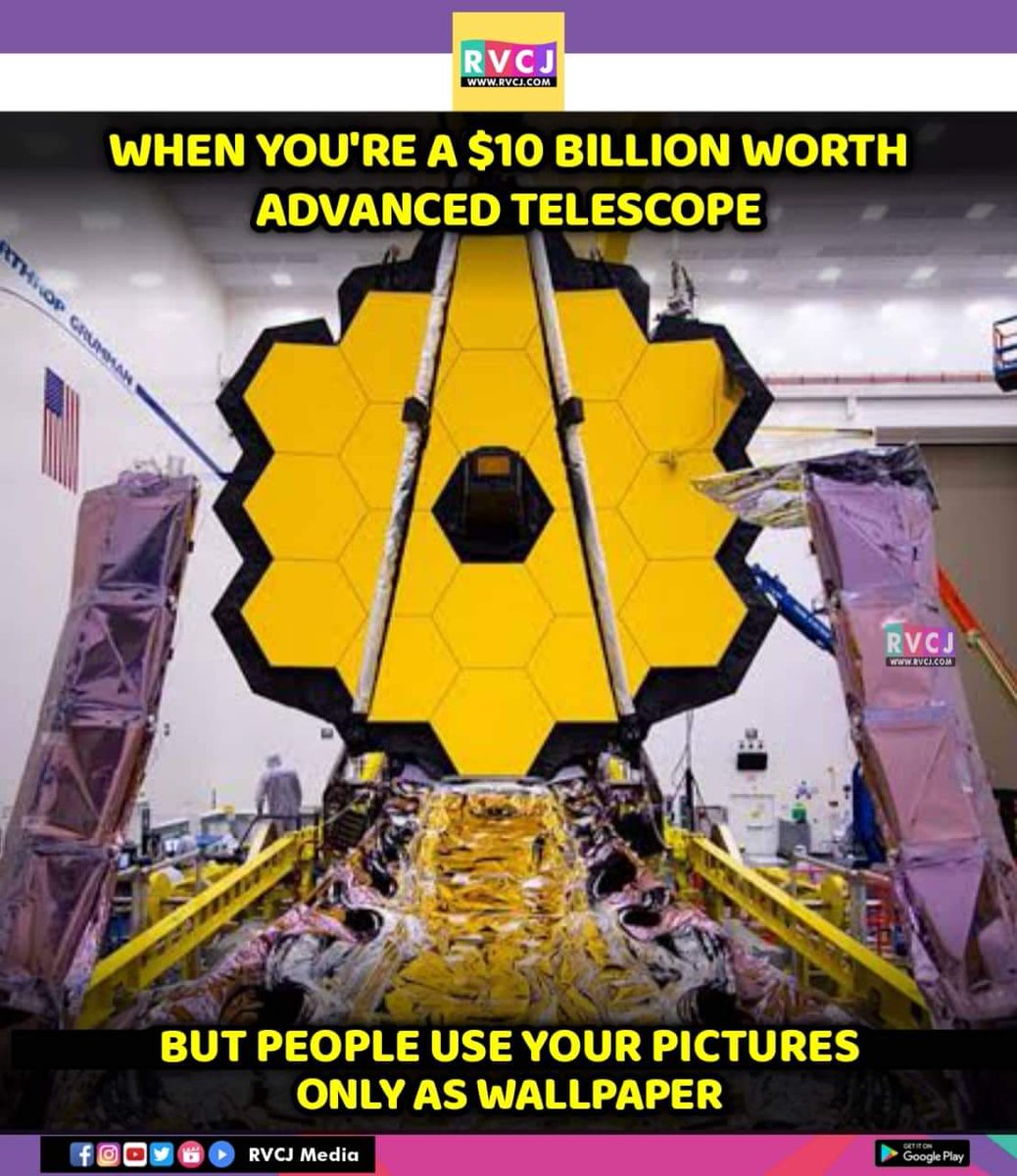 RVCJ Media tweet media