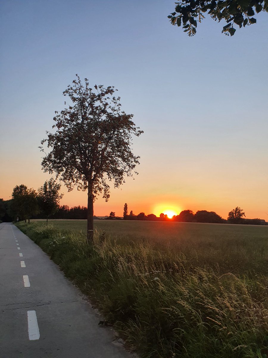 Sunset 🇧🇪