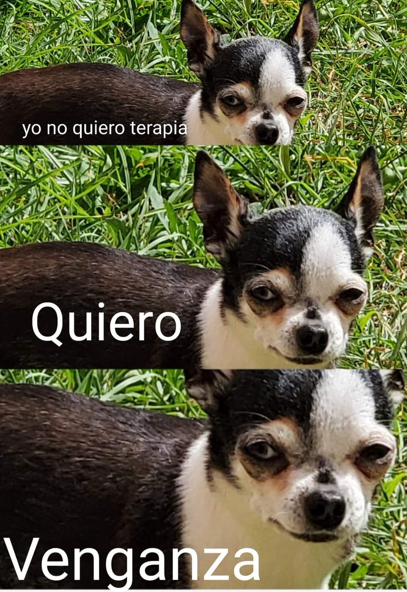Memes Universidad Nacional tweet media