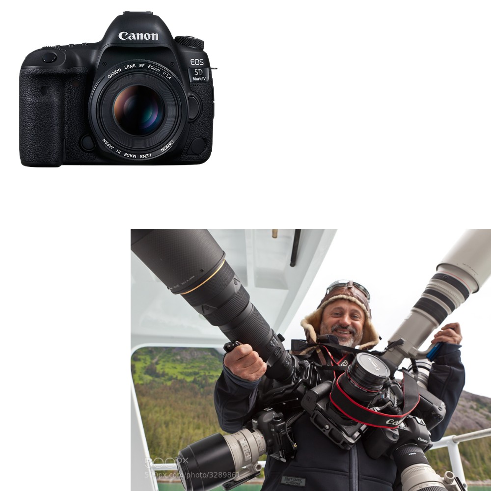 Photographers will take photos for 2 years and then base their entire personality on one of these 4 types