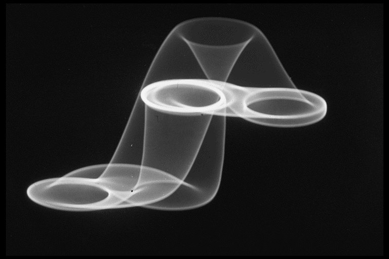 ROBNESS🇺🇸 tweet media