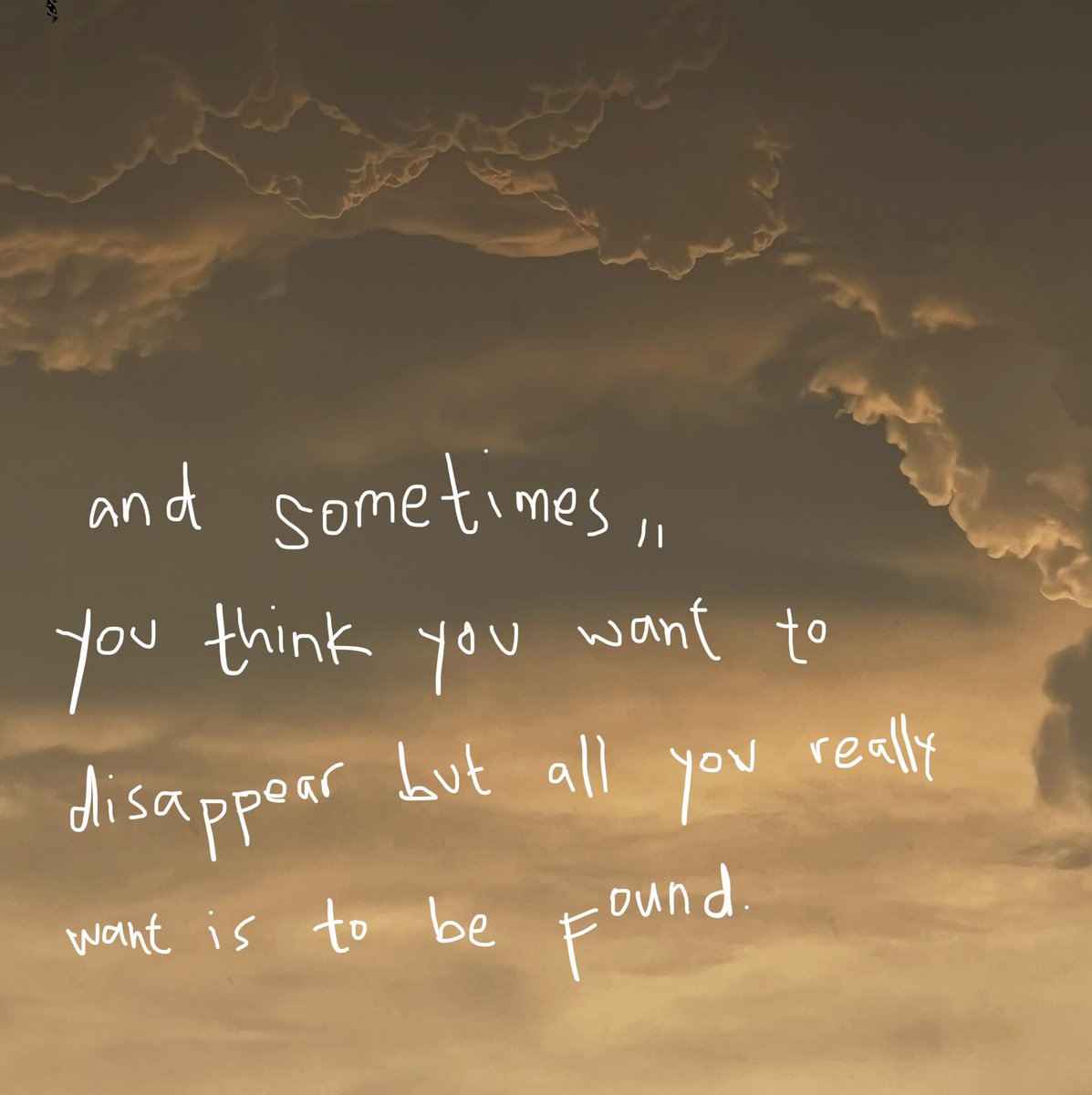 T O L 💛 tweet media