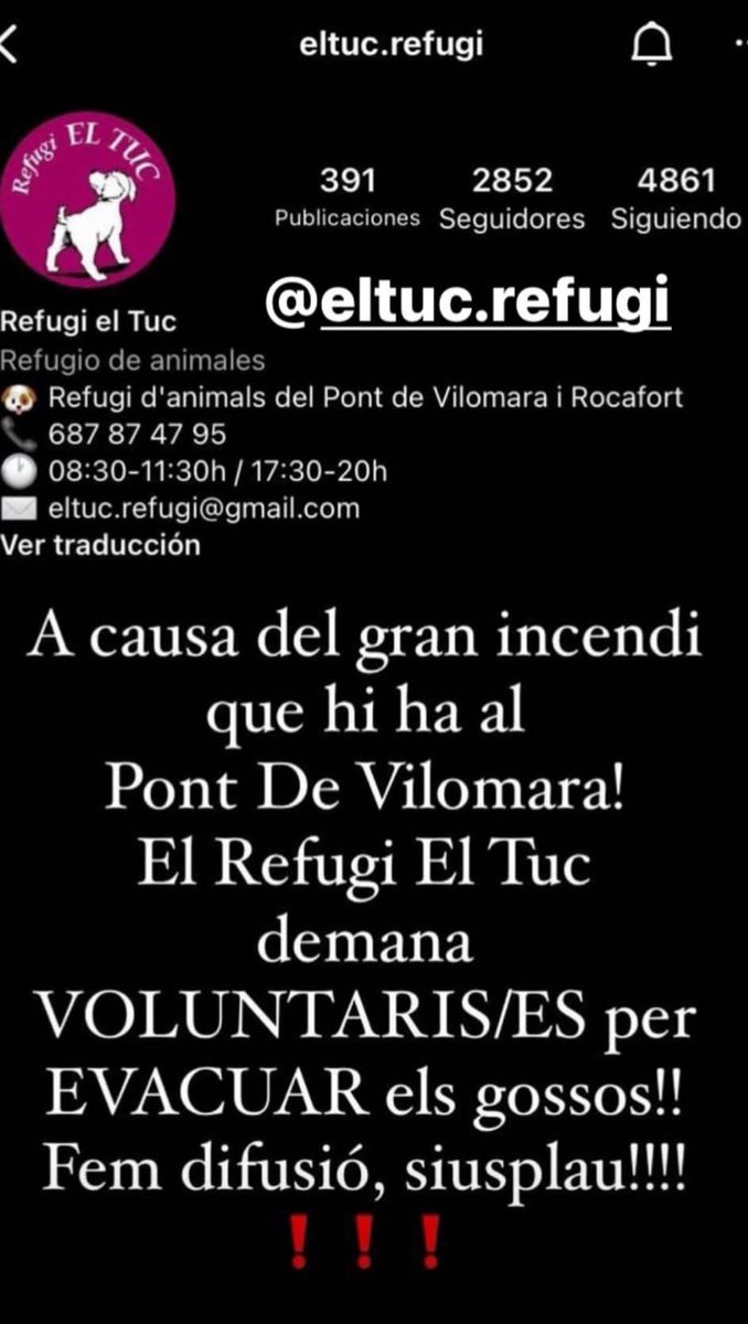 alexsnclmnt's tweet image. El refugi d’animals El Tuc, entre el Pont de Vilomara i Rocafort, demana voluntaris per evacuar els gossos i cases per acollir-los. #IFPontVilomara.