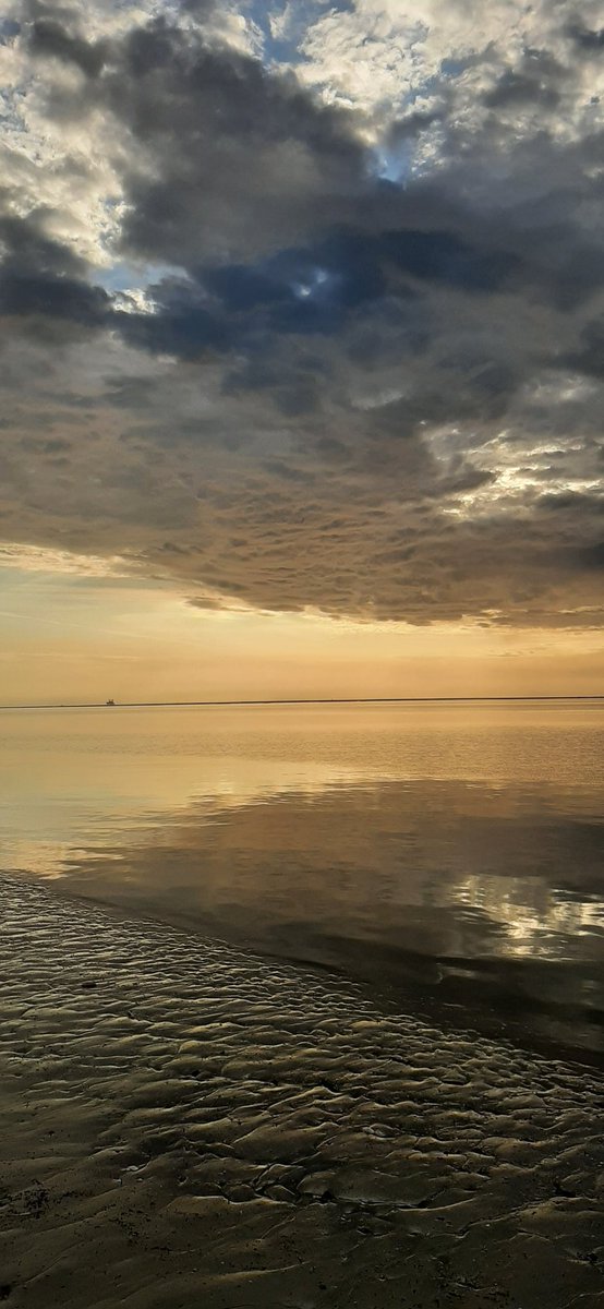 Cees Beukema tweet media