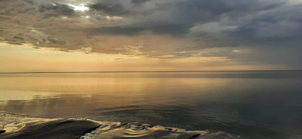 Cees Beukema tweet media