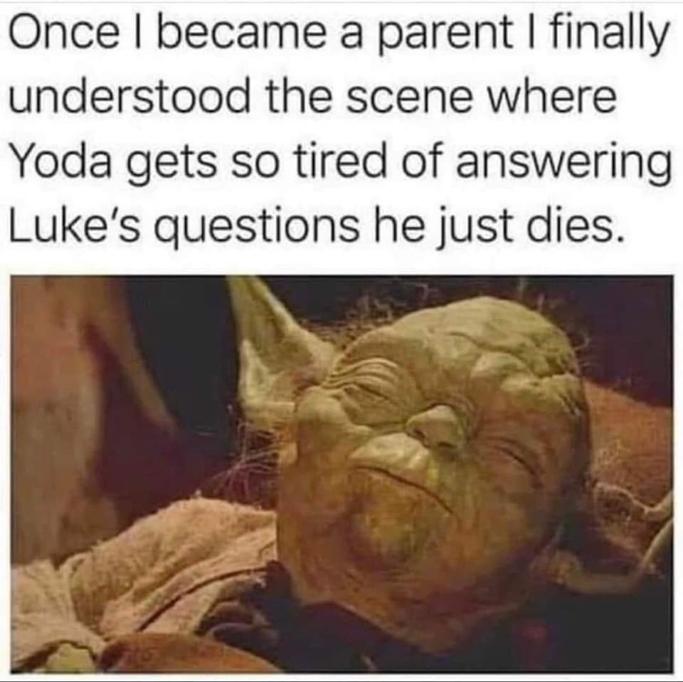 Very few memes make me laugh more than this one. 😂

#MarkHamill #LukeSkywalker #StarWars #Yoda #Parents