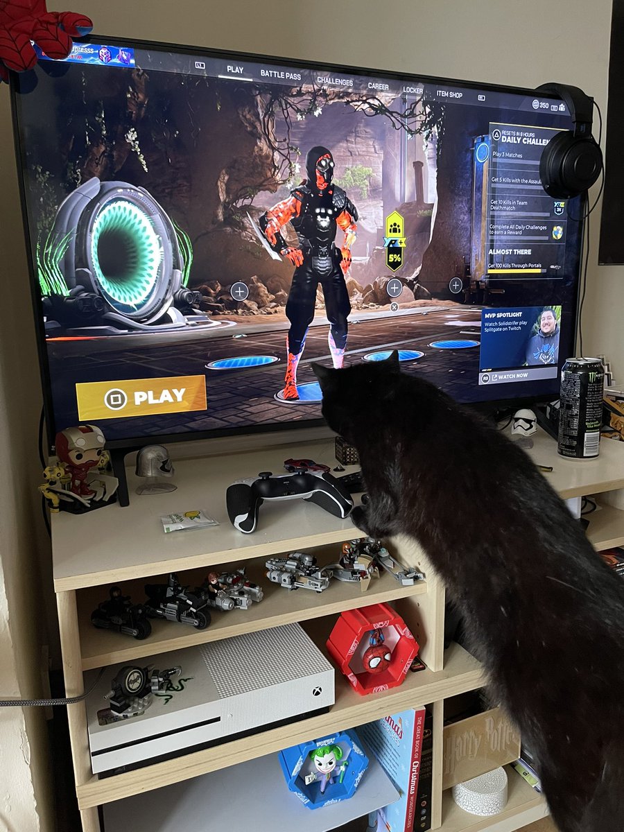 MissSlayzzz's tweet image. New @Splitgate MVP 🫶🏻 #splitgatecat #splitcat #SplitgateProSeries