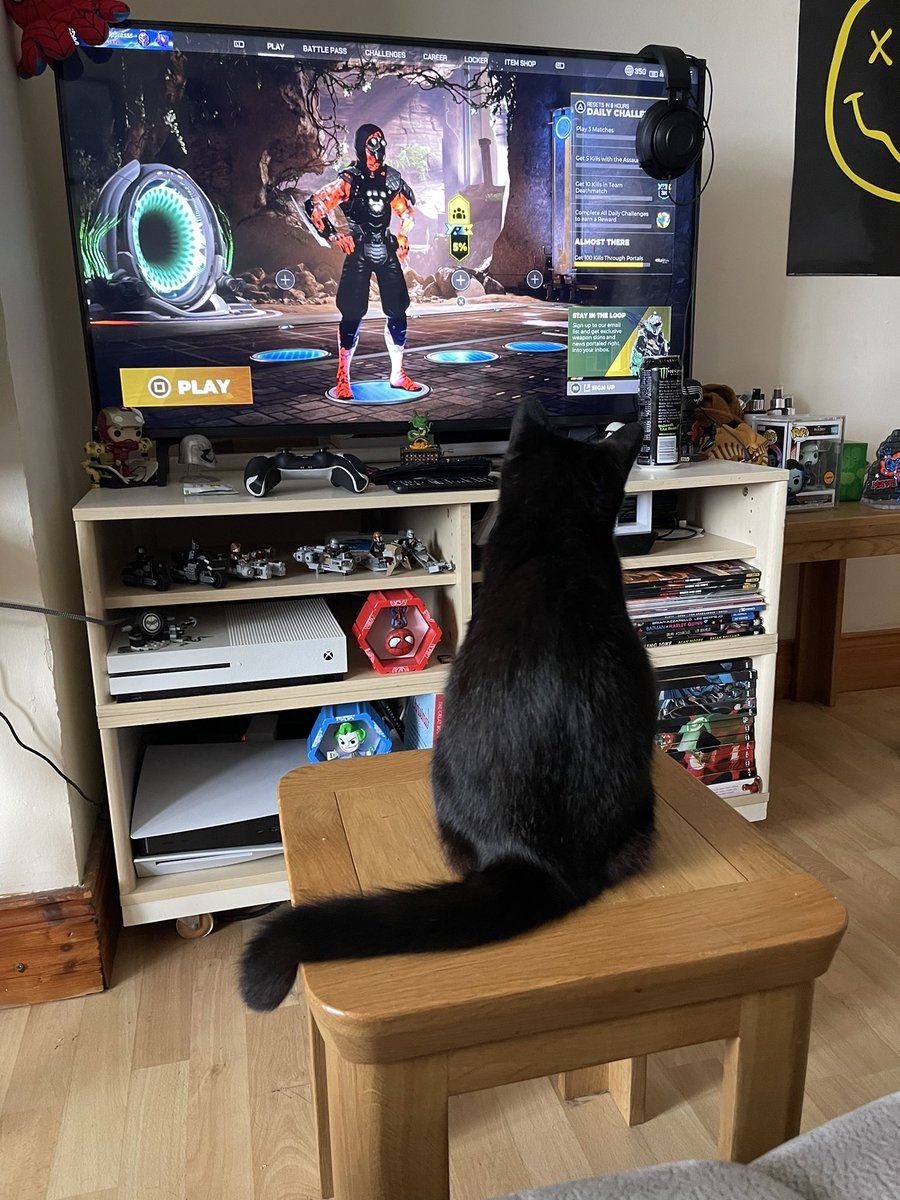 MissSlayzzz's tweet image. New @Splitgate MVP 🫶🏻 #splitgatecat #splitcat #SplitgateProSeries