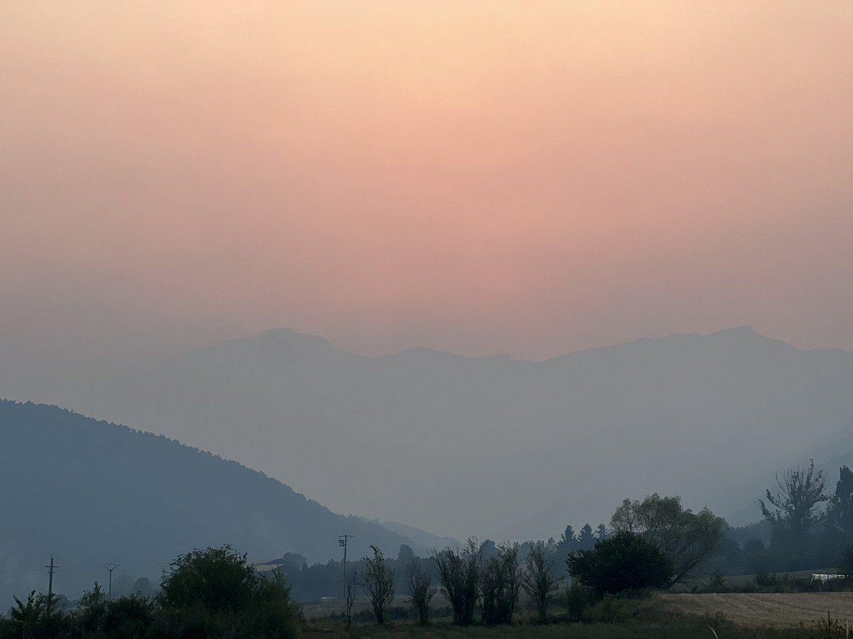 meteocadí tweet media