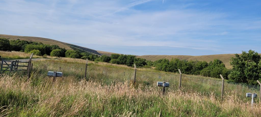 QMGS CCF tweet media