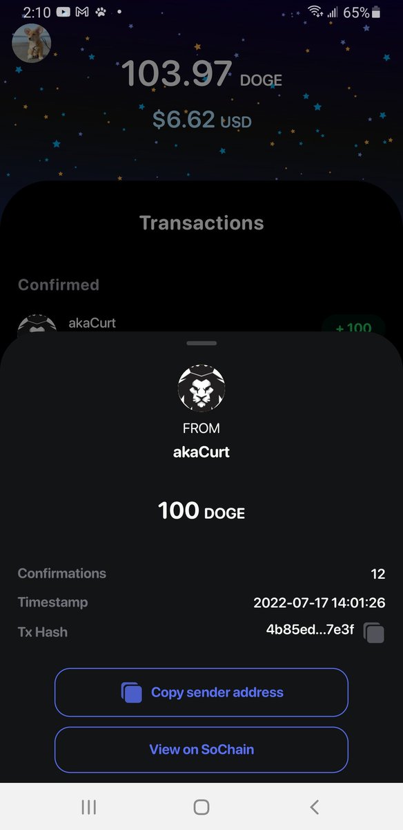 JohnDoge14's tweet photo. I have to shout out @akacurt for being an awesome person. We were chatting about the fees for posting memes on the @MyDogeOfficial wallet. He went ahead and reimbursed me for all of the doge I spent submitting original $Doge Content on the app. Total champ. #tipeveryday #dogearmy https://t.co/dv965Us1Hu