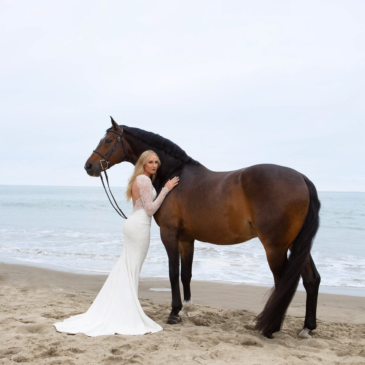 wen_dooters's tweet photo. @AZ_Brittney I’m a horse that just wants to provide smiles. I stay out of politics. I did campaign for Biden because geez, he’s awesome. I wouldn’t even trust the other guy to clean my stall. Not political, just know good people and those that suck. I’m available for modeling 😂🐴 https://t.co/8PanHp8Df9