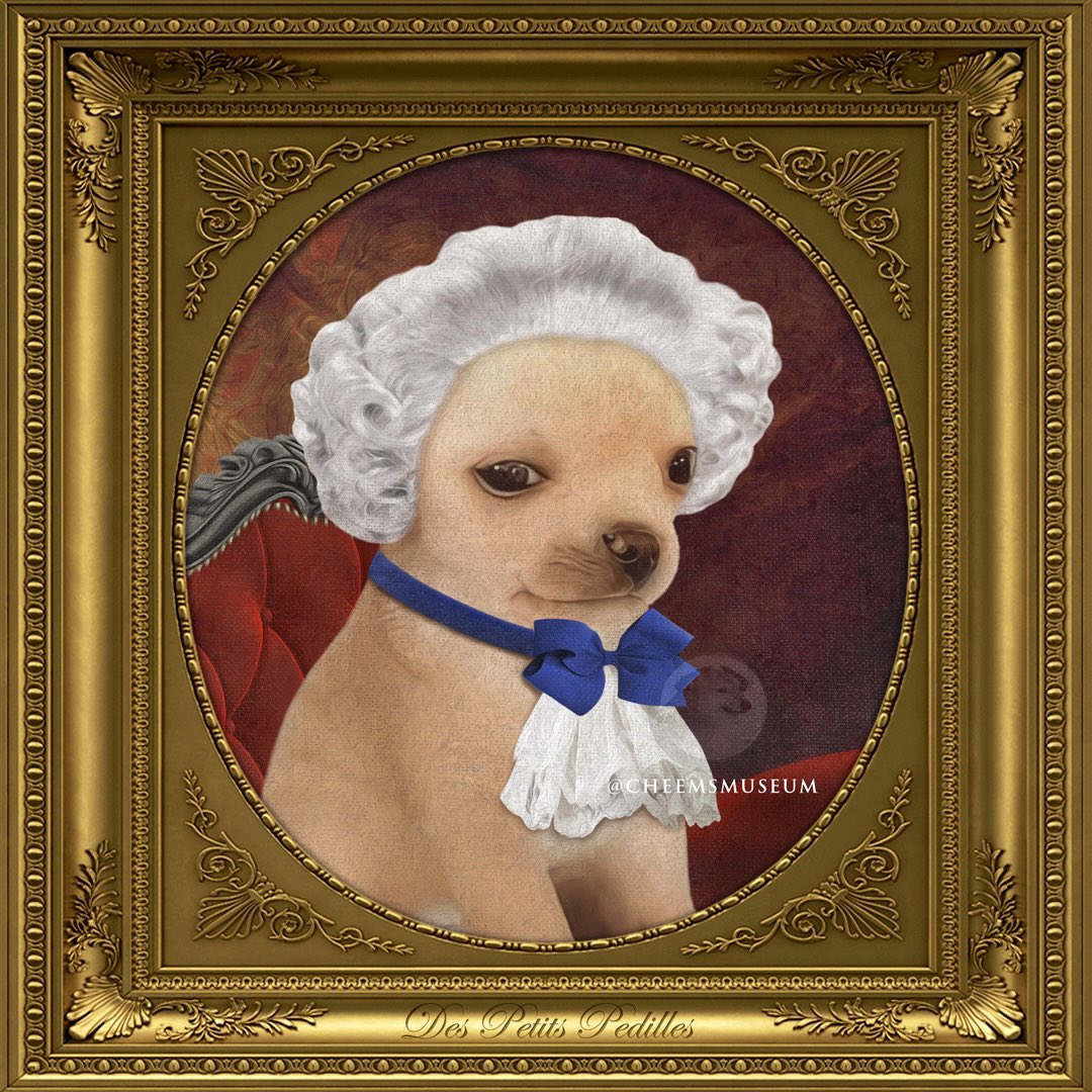 cheemsmuseum's tweet photo. Le Kesí-Kesí 🇫🇷🐕

@kesiperrito #cheemsmuseum #kesikesi #unospedillos #artmeme https://t.co/hM6G3mfu9w