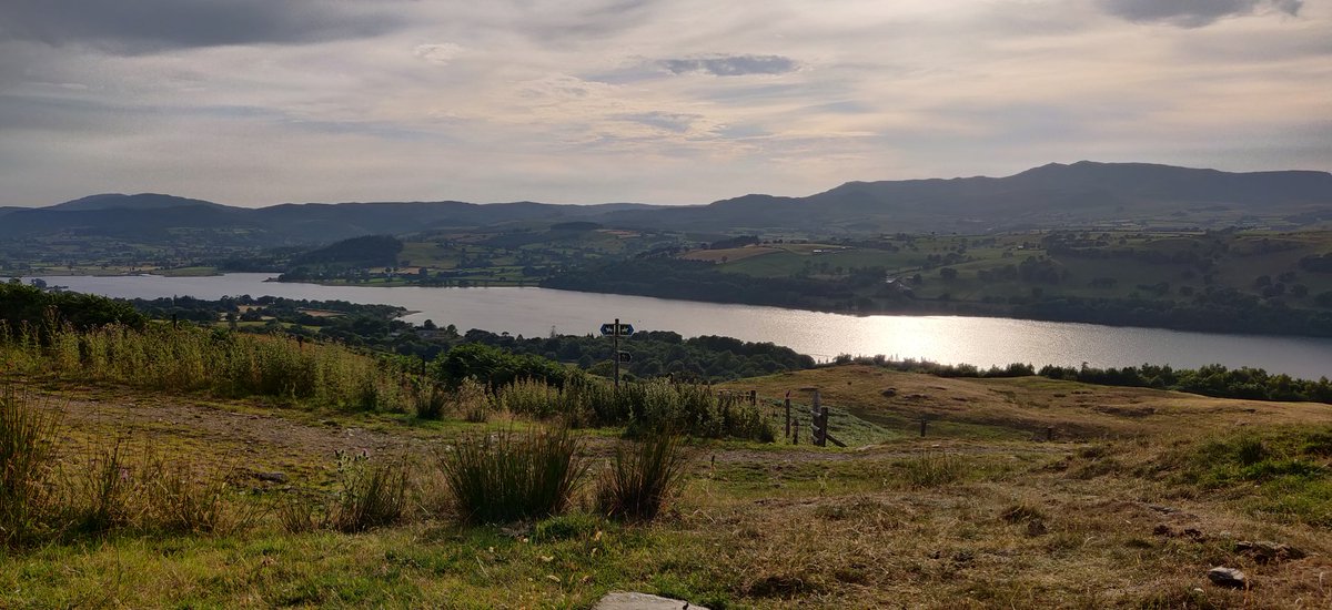 RYLAThamesVlly's tweet image. Evening walk, team bonding with navigation! 😍🧭 #rotary #rylathamesvalley #teambuilding #youngleaders
