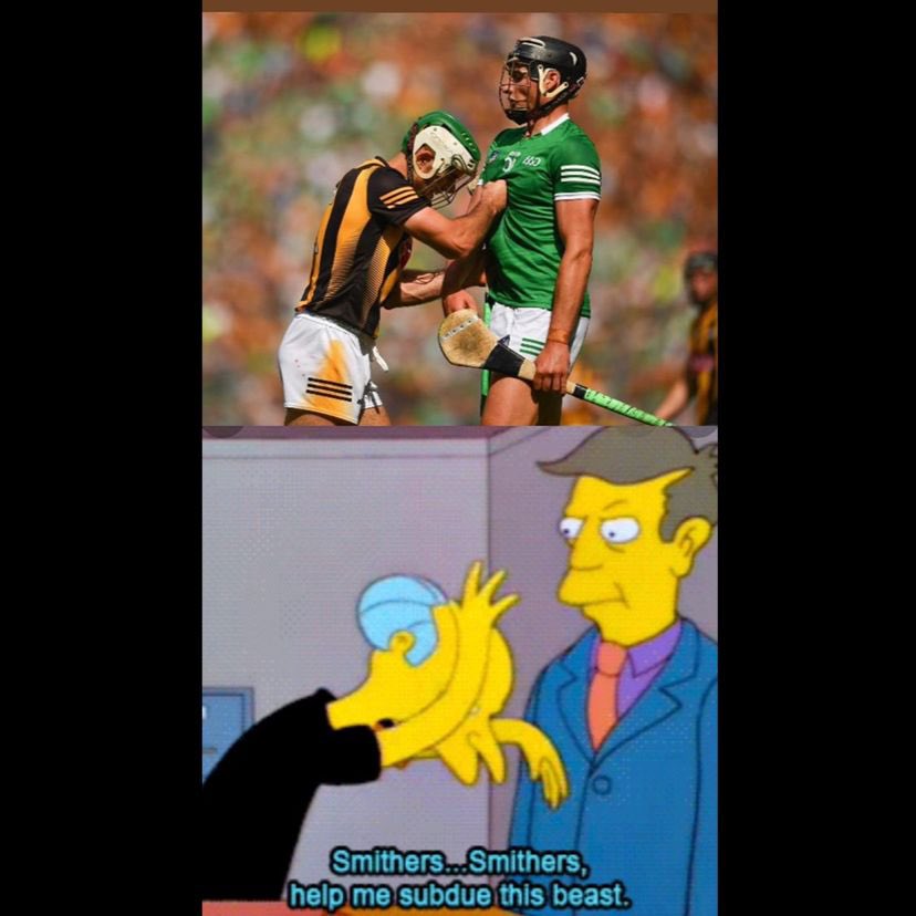 This man is a freak of nature😂 #AllIRELANDHURLINGFINAL #limerickvkilkenny