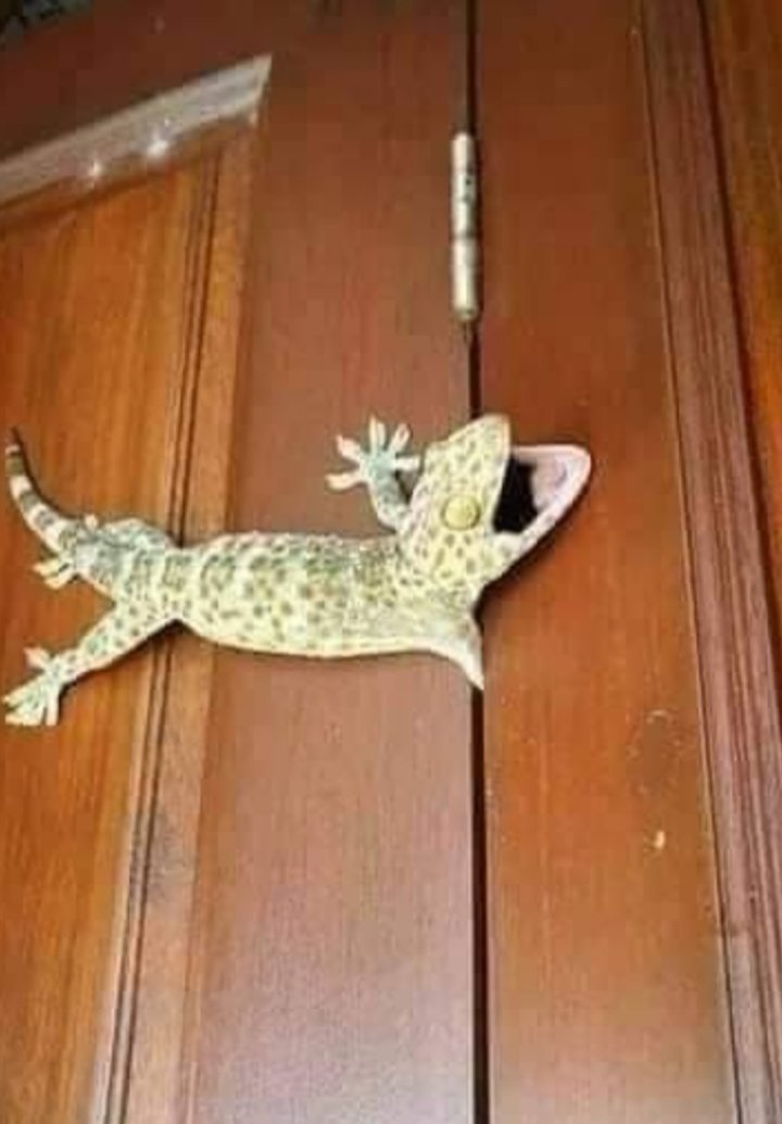 MasWawanm's tweet photo. Mau pergi tapi tak kuasa, bertahan menanggung derita🤣🤣 https://t.co/3jwdeLDCdT