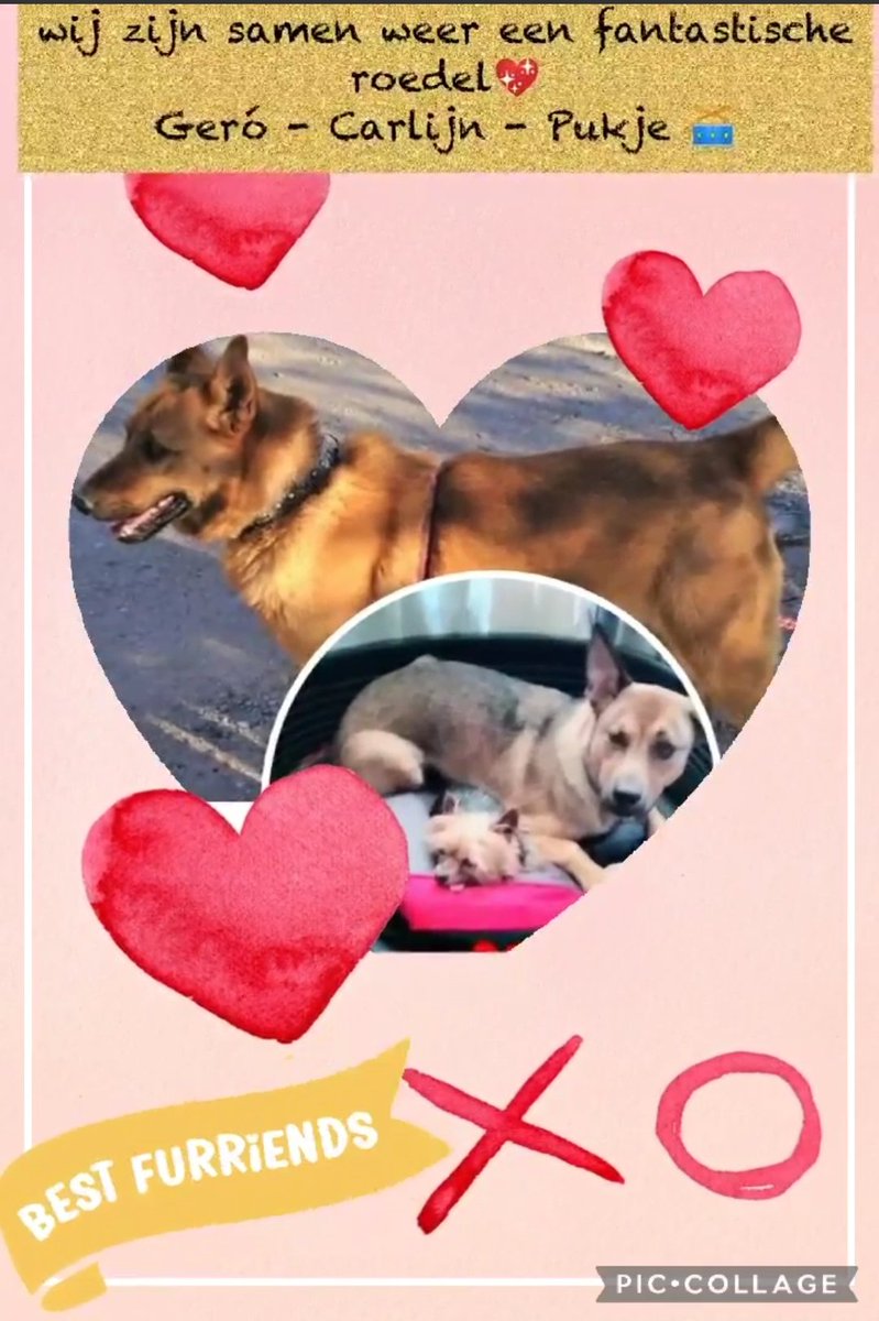 Spandy☆ tweet media