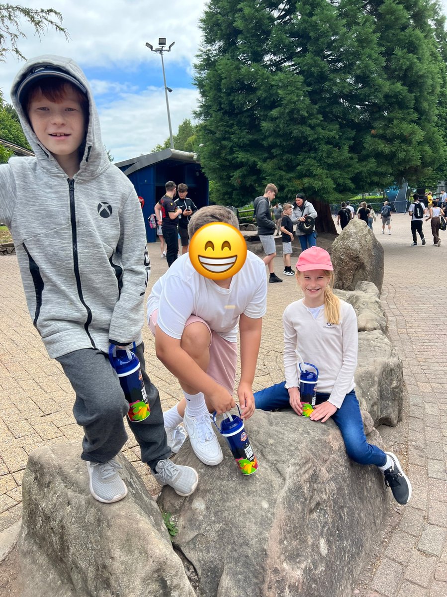 Newton Primary tweet media