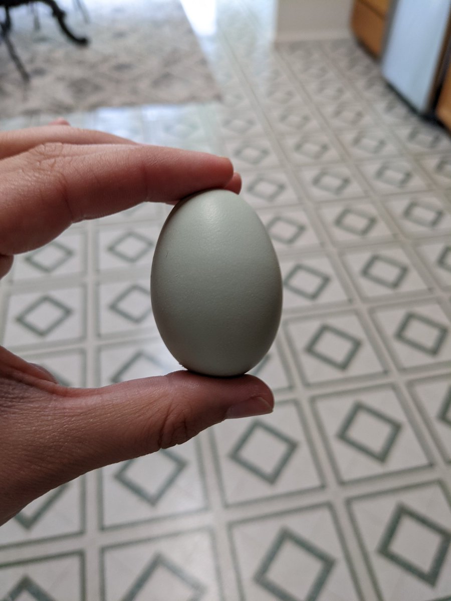 Jane Urquizu tweet media