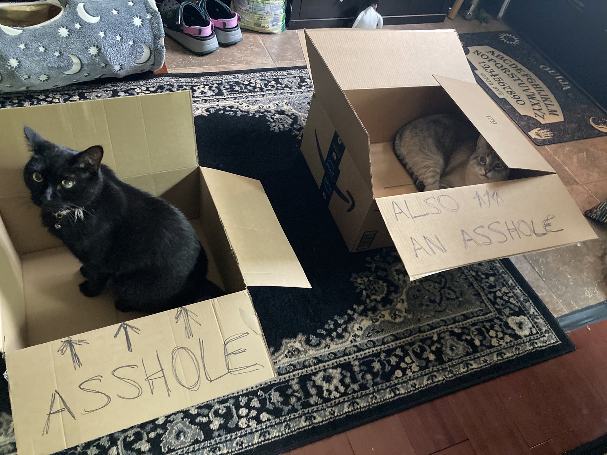 Insert trendy bandwagon topic with emojis here on Twitter "https//t