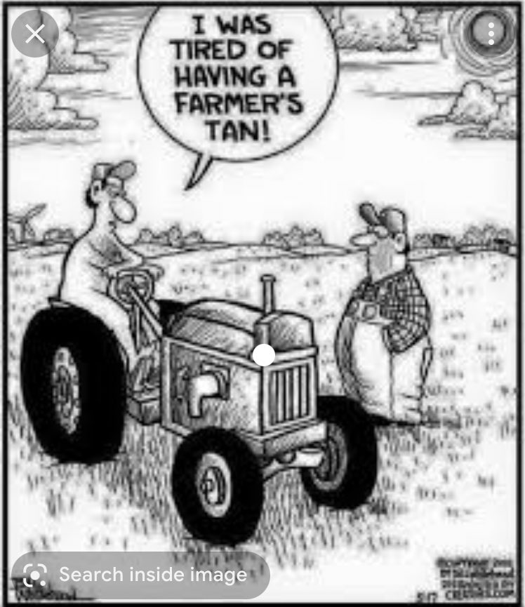 cumbriaoldrural's tweet image. #farmerstan #heatwavetips  🤣