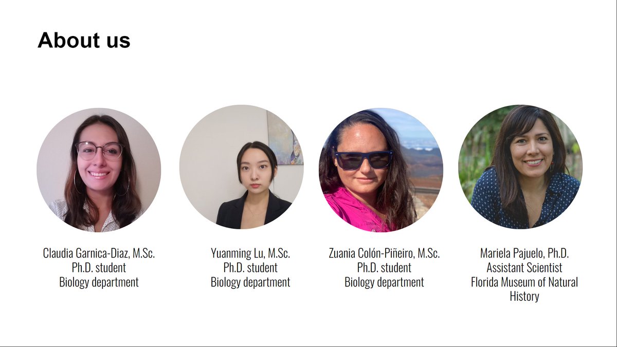 ClaudiaGarnicaD's tweet photo. Hi everyone, next Tuesday, July 19th (5pm EST) we will be leading a presentation to help incoming international students settle into the Biology Department and Gainesville. We will cover topics such as housing, daycare tips, and more. More information here https://t.co/G46pBYYl8X https://t.co/vHOAi7ZO2d